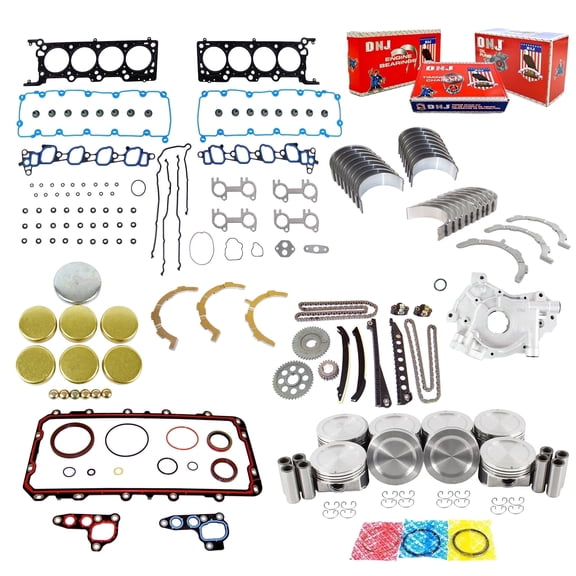 DNJ EK4172M Master Engine Rebuild Kit Fits Cars & Trucks 2004-2008 Ford E-150 E-150 Club Wagon E-250 E-350 Club Wagon E-350 Super Duty 5.4L SOHC V8 16V 330cid VIN L