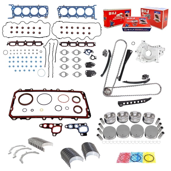 DNJ EK4173AM Master Engine Rebuild Kit Fits Cars & Trucks 2004-2006 Ford Lincoln Expedition F-150 F-250 Super Duty F-350 Super Duty Mark LT Navigator 5.4L SOHC V8 24V 330cid VIN 5 VIN V