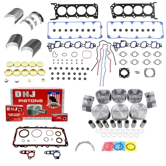 DNJ EK4219 Engine Rebuild Kit Fits Cars & Trucks 2009-2011 Ford 4.6L V8 16V SOHC 281cid