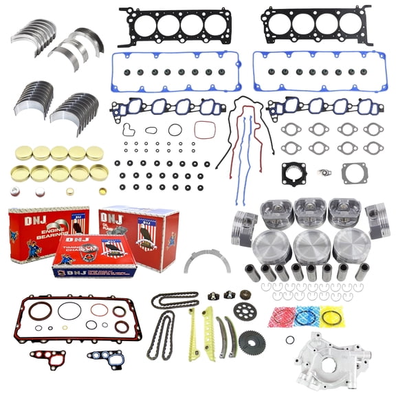DNJ EK4219M Master Engine Rebuild Kit Fits Cars & Trucks 2009-2011 Ford 4.6L V8 16V SOHC 281cid
