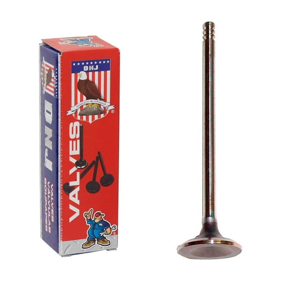 DNJ EV158 Exhaust Valve Fits Cars & Trucks 95-05 Chrysler Dodge Breeze Cirrus 2.0L L4 SOHC 16v