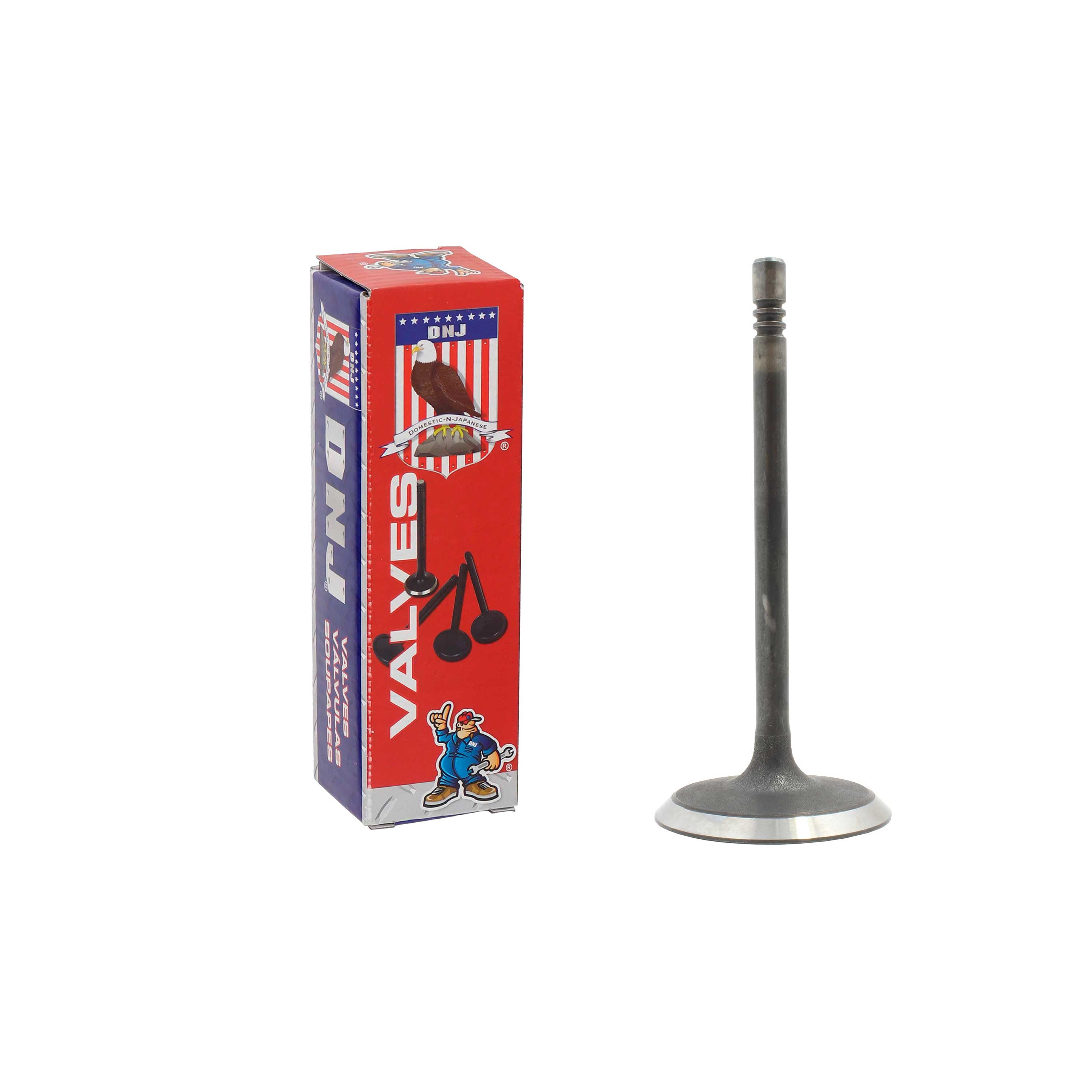 DNJ IV1100 Intake Valve Fits Cars & Trucks 99-12 Chrysler Dodge 1500 Aspen 3.7L SOHC 12v 16v