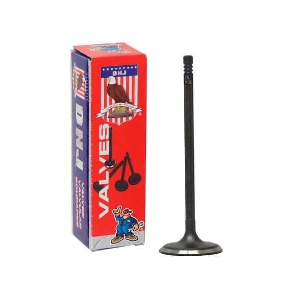 DNJ IV1170A Intake Valve Set Fits Cars & Trucks 2015-2017 Chrysler 200 2.4L L4 2360cc 16V SOHC