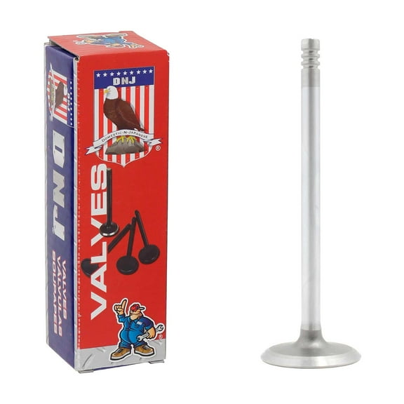 DNJ IV143 Intake Valves Set Fits Cars & Trucks 98-11 Chrysler 3.2L-4.0L SOHC