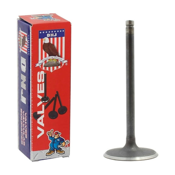 DNJ IV3160 Intake Valves Set Fits Cars & Trucks 97-17 Buick 4.8L-6.0L OHV