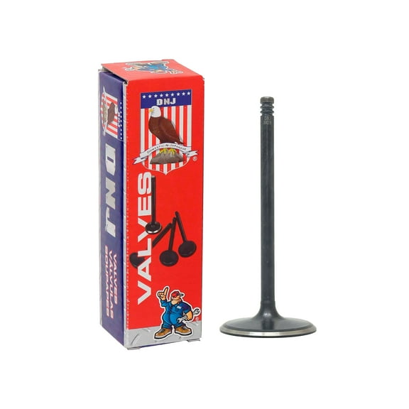 DNJ IV4279 Intake Valve Set Fits Cars & Trucks 2021-2022 Ram 1500 6.2L V8 6166cc 16V OHV