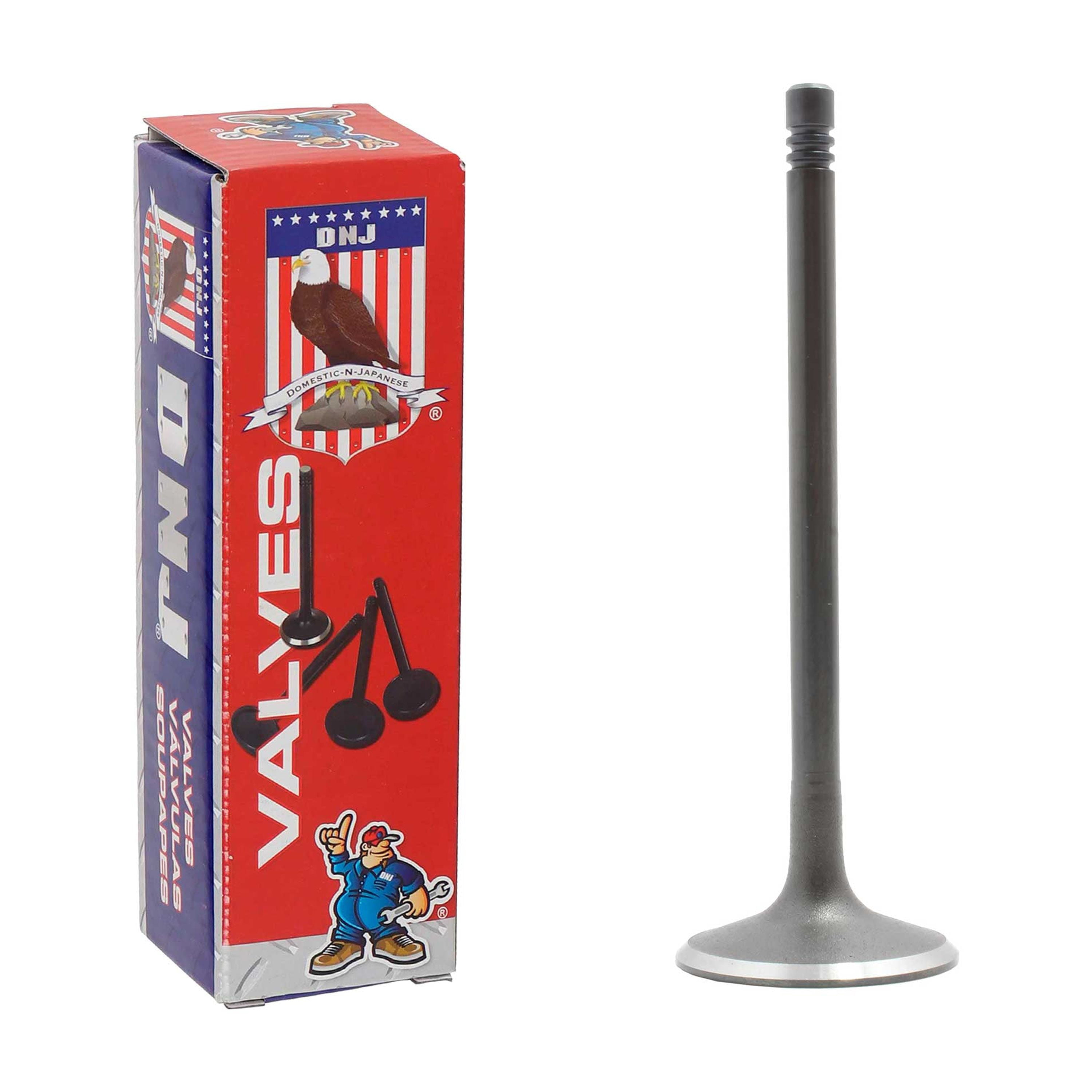 DNJ IV802 Intake Valve Fits Cars & Trucks 05-15 Audi Volkswagen A3 Quattro 2.0L-4.2L DOHC 16v