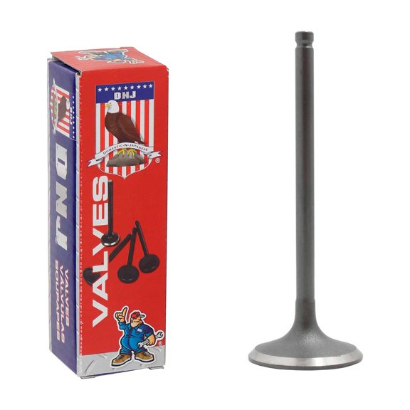 DNJ IV960 Intake Valve Fits Cars & Trucks 94-10 Lexus Toyota Avalon Camry 3.0L V6 DOHC 24v