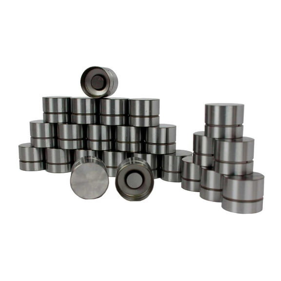 DNJ LFK24311 Valve Lifter Fits Cars & Trucks 96-97 Chevrolet Oldsmobile Pontiac 3.4L DOHC 24V