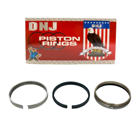 DNJ PR1160.20 Piston Rings Set Fits Cars & Trucks 03-08 Chrysler Dodge Jeep 5.7L OHV