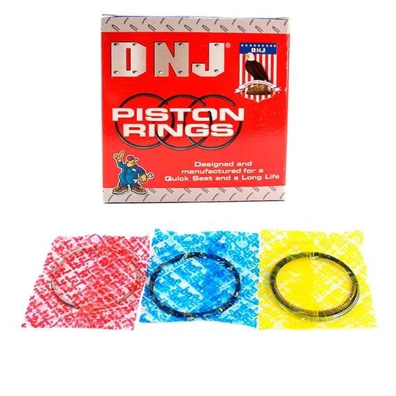 DNJ PR3103AC.40 Piston Rings Set Fits Cars & Trucks 62-94 Chevrolet 300 Aspen 4.7l-5.9l V8 OHV 16v
