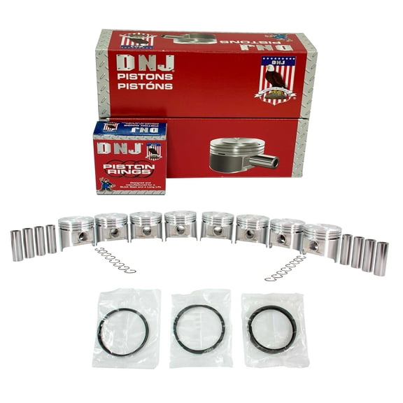 DNJ PRK1110 Piston and Ring Kit Fits Cars & Trucks 88-91 CHRYSLER B Series Vans Trucks D Series Vans Trucks Dakota W Series Van trucks 3.9L 12V V6 OHV