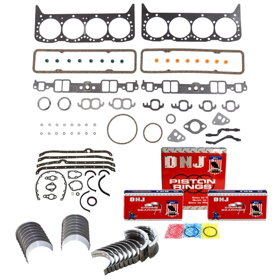 DNJ RRK3102 Re-Ring Kits Set Fits Cars & Trucks 81-85 Chevrolet GMC 5.7L OHV