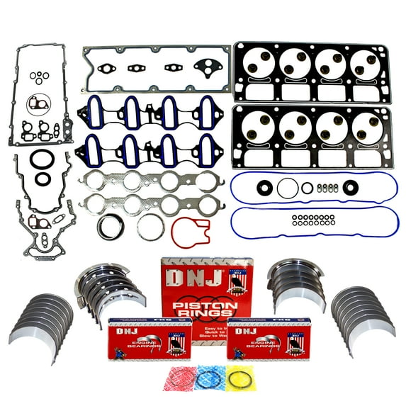 DNJ RRK3167 Re-Ring Kits Set Fits Cars & Trucks 01 Chevrolet GMC 4.8L-5.3L OHV