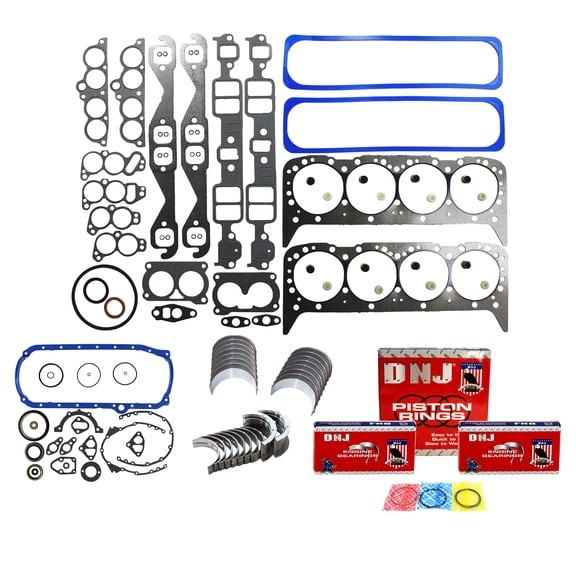 DNJ RRK3202 Re-Ring Kits Set Fits Cars & Trucks 86-91 Chevrolet 5.7L OHV