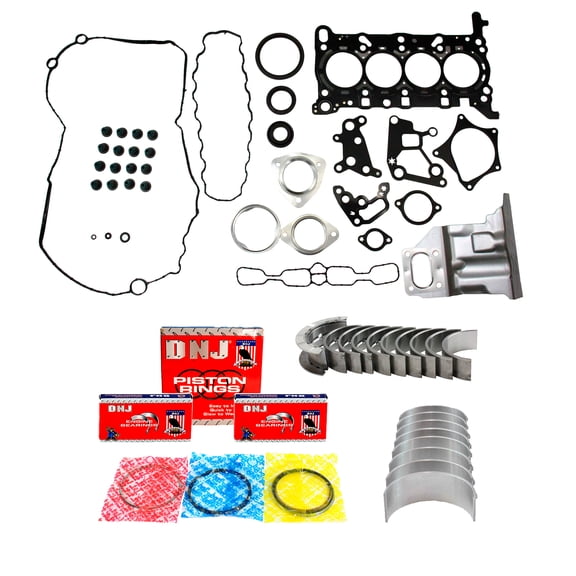 DNJ RRK360B Engine Re-Ring Kit Fits Cars & Trucks 2018-2022 Chevrolet Equinox 1.5L L4 1490cc 16V DOHC