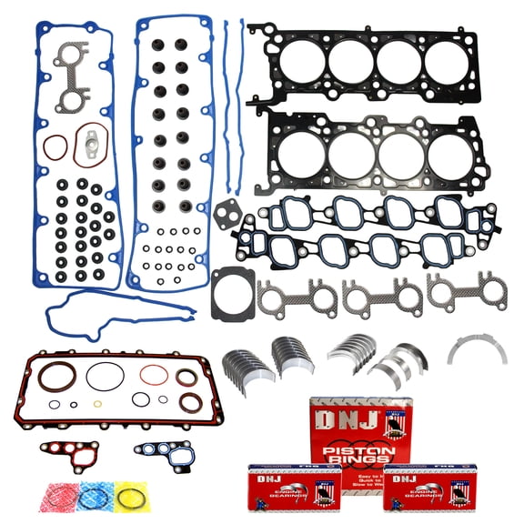 DNJ RRK4156 Re-Ring Kits Set Fits Cars & Trucks 02-08 Ford Lincoln Mercury 4.6L SOHC