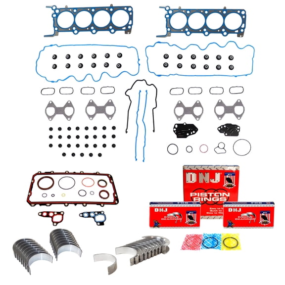 DNJ RRK4166 Re-Ring Kits Set Fits Cars & Trucks 06 Ford Mercury 4.6L SOHC