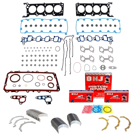 DNJ RRK4172 Re-Ring Kits Set Fits Cars & Trucks 04-08 Ford 5.4L SOHC