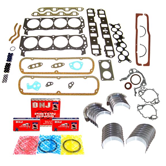 DNJ RRK4189 Re-Ring Kits Set Fits Cars & Trucks 93 Ford 5.8L OHV