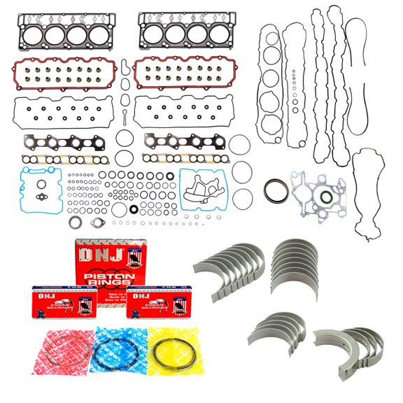 DNJ RRK4215 Re-Ring Kits Set Fits Cars & Trucks 03-10 Ford 6.0L OHV