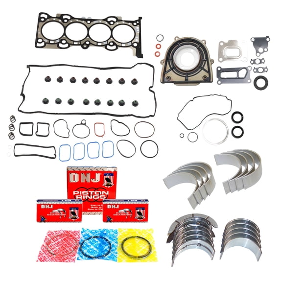 DNJ RRK4235 Re-Ring Kits Set Fits Cars & Trucks 12-18 Ford Lincoln 2.0L DOHC