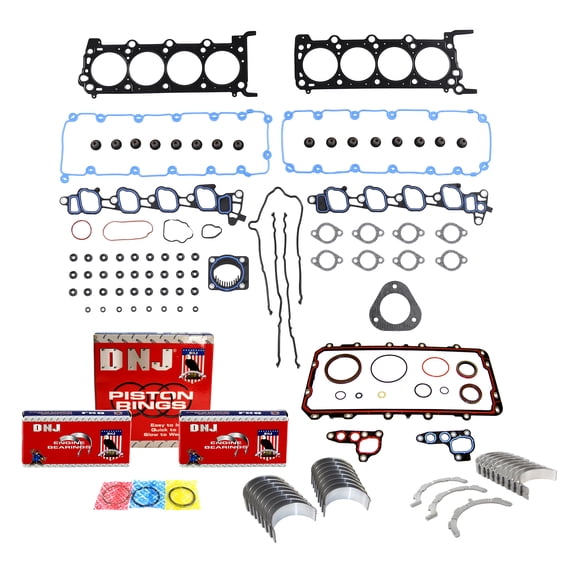 DNJ RRK4251 Re-Ring Kits Set Fits Cars & Trucks 09-16 Ford 5.4L SOHC