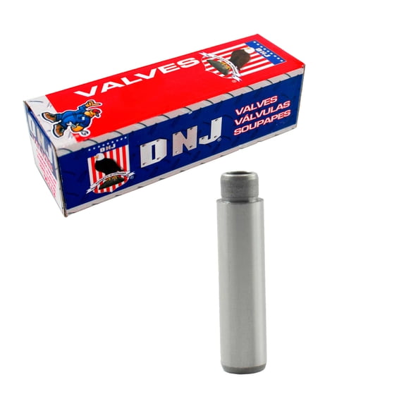 DNJ VG1169 Valve Guides Set Fits Cars & Trucks 11-22 Chrysler Dodge Jeep Ram Volkswagen 3.6L DOHC
