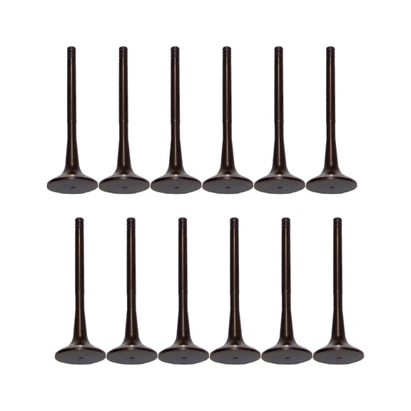 DNJ VK121137 Exhaust Intake Valve Kit Fits Cars & Trucks 01-11 Chrysler Dodge V6 3.3L 3.8L OHV 12V
