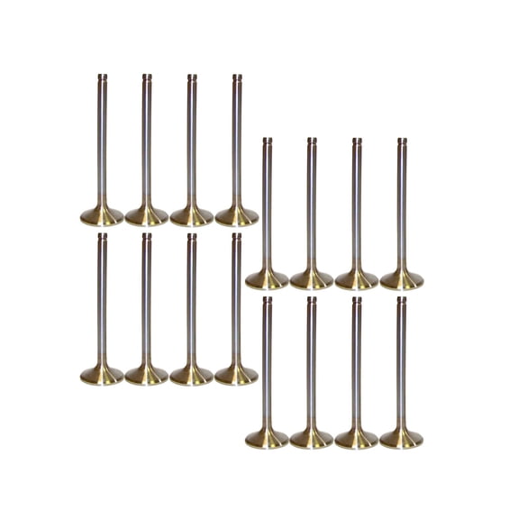 DNJ VK163165 Exhaust Intake Valve Kit Fits Cars & Trucks 99-17 Buick V8 4.8L OHV 16V EV3165 X8 IV3165 X8