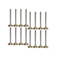 thumbnail image 1 of DNJ VK163165A Exhaust Intake Valve Kit Fits Cars & Trucks 97-17 Buick V8 4.8L 5.3L 5.7L 6.0L OHV 16V, 1 of 1