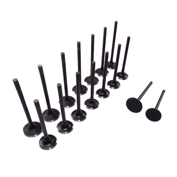 DNJ VK16319 Exhaust Intake Valve Kit Fits Cars & Trucks 98-08 Daewoo L4 2.0L 2.2L DOHC 16V