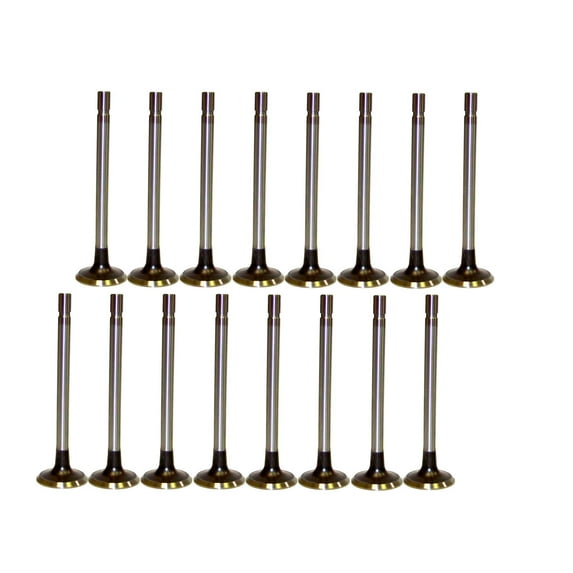 DNJ VK164113 Exhaust Intake Valve Kit Fits Cars & Trucks 1975-2001 Ford, Lincoln, Mercury V8 5.0L, 5.8L OHV 16V EV4113 X8 IV4113 X8