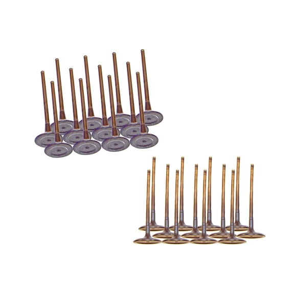DNJ VK24174 Exhaust Intake Valve Kit Fits Cars & Trucks 06-16 Hyundai Kia V6 3.3L 3.5L 3.8L DOHC 24V