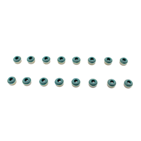 DNJ VSS1163 Valve Stem Seals Fits Cars & Trucks 09-19 RAM 1500 2500 5.7L-6.4L V8 OHV 16v