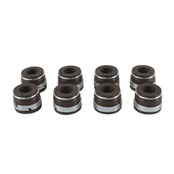DNJ VSS337 Valve Stem Seals Set Fits Cars & Trucks 90-93 Buick 2.5L OHV