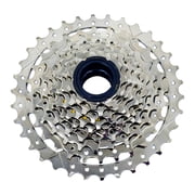 DNP 10 Speed Screw-on Freewheel 11-34T Nickel Plate #ST1991