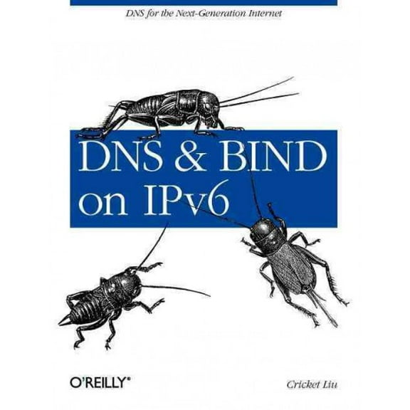 DNS and Bind on Ipv6: DNS for the Next-Generation Internet (Paperback)