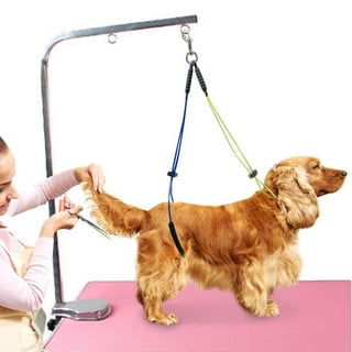 Grooming leash for dogs clearance