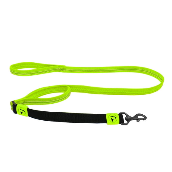 DOCO Solar Shock Absorbing Reflective Mesh Bungee Leash with Double, Traffic Handle for Walking and Training of Small, Medium and Large Dogs