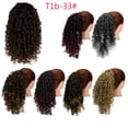 thumbnail image 1 of DODOING 14 Inch Curly Pony Hair Afro Synthetic Ponytail Extension Clip in Colored Hair Extensions, 1 of 8