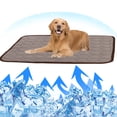 thumbnail image 1 of DODOING Dog Mat, Pad for Dog Pet Ice Silk Dog Mat for Dogs & Cats, Pet Bed Blanket for Kennel/Sofa/Bed/Floor,Portable & Washable, 1 of 8