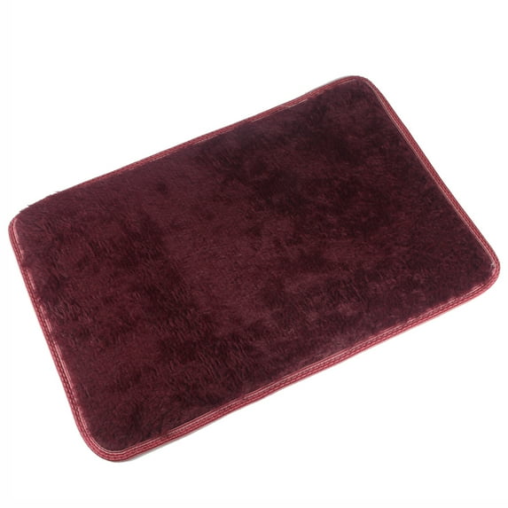 DODOING Rectangle Ultra Soft Area Rugs Fluffy Carpets for Bedroom Living Room Shaggy Floor Rug Home Decor Mats, 15.7x23.6 inch (Door Rug)