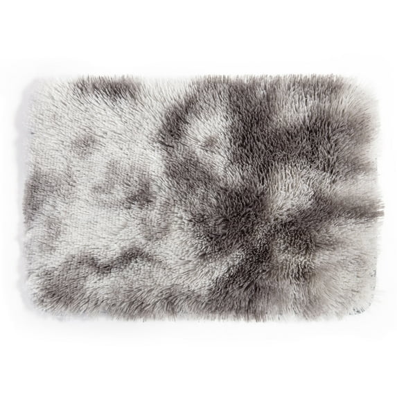 DODOING Rectangle Ultra Soft Area Rugs Fluffy Carpets for Bedroom Living Room Shaggy Floor Rug Home Decor Mats, 15.7x23.6 inch (Door Rug)