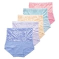 thumbnail image 1 of DODOING Tummy Control Panties 5 Pack -Plus Size Girdles for Women High Waist Panties, 1 of 8