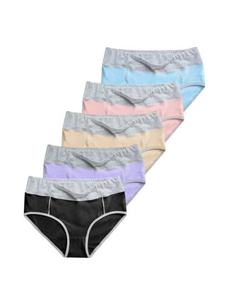 DODOING Women's Plus Size Tummy Control Panties Briefs 1-4 Pack, Soft  Cotton High Waist Breathable Brief Seamless Panties for Women 