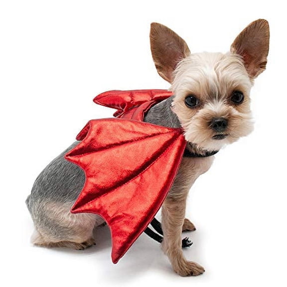 DOGO, Pet Dragon Wings, Red, Small, 1 Count