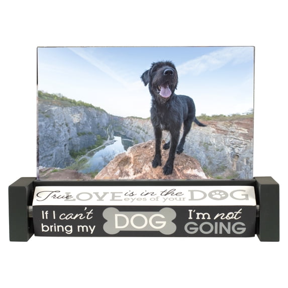 DOGS SPIN-QUOTES 4x6 frame - 4x6