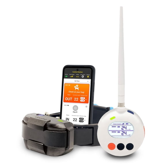 Dogtra SMART Fence Wireless Dog Fence System - No Subscription, App Alerts, Waterproof, Dogs 35 lbs