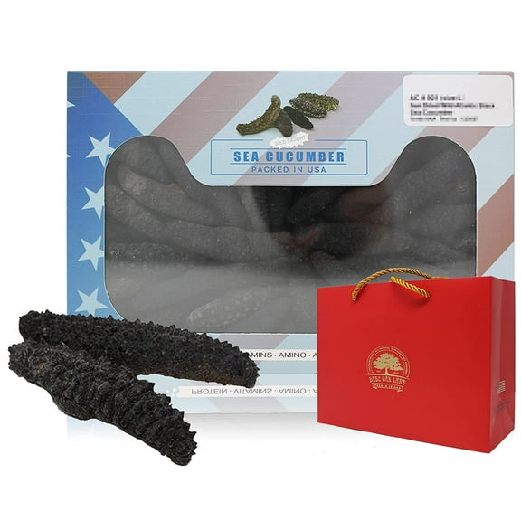 DOL Wild Caught,Sun Dried Atlantic Black Pin Sea Cucumber All Natural Nutritious,  - in box (Large 16oz/box)